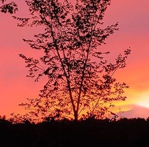 Meet your Posher, Todd